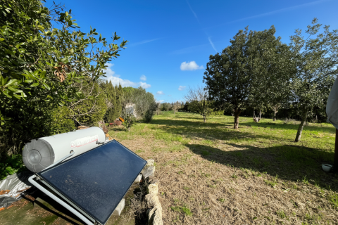 Аренда финки в Монтуири, Майорка, Испания 1 спальня, 71м2 №149505 - фото 20