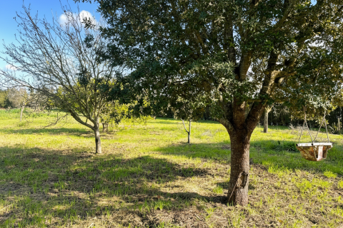 Аренда финки в Монтуири, Майорка, Испания 1 спальня, 71м2 №149505 - фото 21