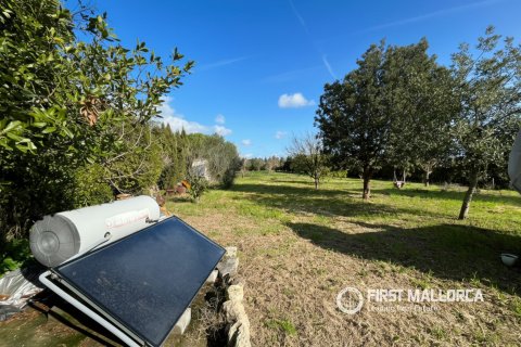 Аренда финки в Монтуири, Майорка, Испания 1 спальня, 71м2 №149505 - фото 20