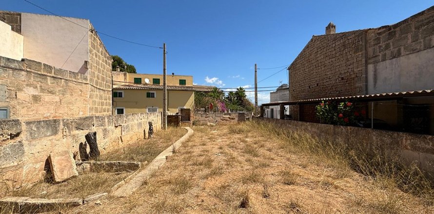 Zemes gabals Ses Salines, Mallorca, Spānijā Nr. 143406