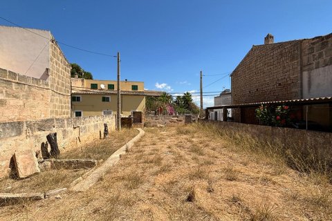 Zemes gabals pārdošanā Ses Salines, Mallorca, Spānijā Nr. 143406 - attēls 5