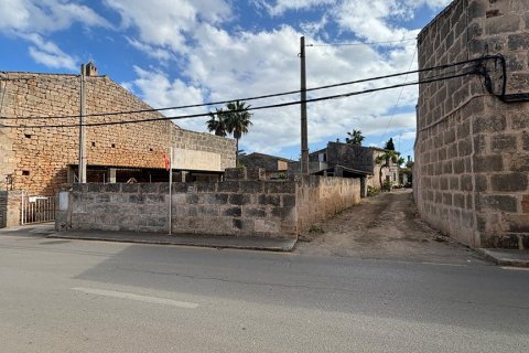Zemes gabals pārdošanā Ses Salines, Mallorca, Spānijā Nr. 143406 - attēls 12