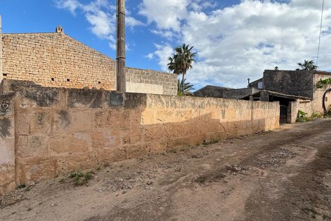 Zemes gabals pārdošanā Ses Salines, Mallorca, Spānijā Nr. 143406 - attēls 13