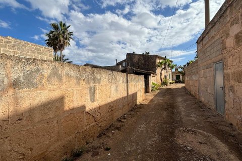 Zemes gabals pārdošanā Ses Salines, Mallorca, Spānijā Nr. 143406 - attēls 11