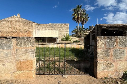 Zemes gabals pārdošanā Ses Salines, Mallorca, Spānijā Nr. 143406 - attēls 10