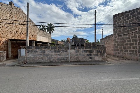 Zemes gabals pārdošanā Ses Salines, Mallorca, Spānijā Nr. 143406 - attēls 8