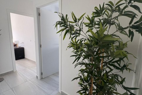 Huoneisto myytävänä Ciudad Quesada, Alicante, Espanja, 5 makuuhuonetta, 155 m2 No. 144526 - kuva 18