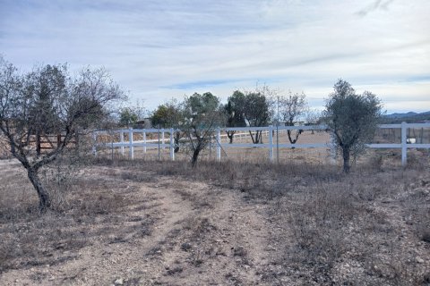 Finka w Monovar, Alicante, Hiszpania 3 sypialnie, 209 mkw. nr 190119 – zdjęcie 20