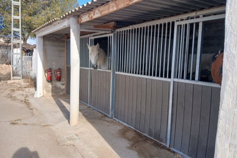 Finka w Monovar, Alicante, Hiszpania 3 sypialnie, 209 mkw. nr 190119 – zdjęcie 29
