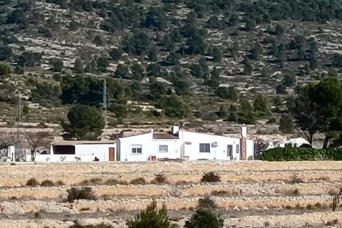 Finca in Monovar, Alicante, Spain 3 bedrooms, 209 sq.m. No. 190119