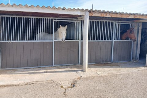 Finka w Monovar, Alicante, Hiszpania 3 sypialnie, 209 mkw. nr 190119 – zdjęcie 3