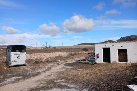 Finka w Monovar, Alicante, Hiszpania 3 sypialnie, 209 mkw. nr 190119 – zdjęcie 22