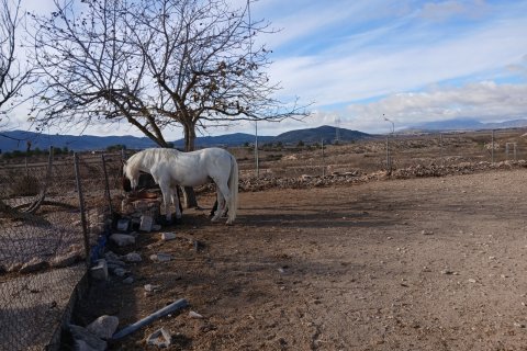 Finka w Monovar, Alicante, Hiszpania 3 sypialnie, 209 mkw. nr 190119 – zdjęcie 4