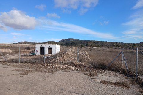 Finka w Monovar, Alicante, Hiszpania 3 sypialnie, 209 mkw. nr 190119 – zdjęcie 21