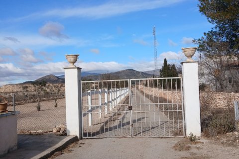 Finka w Monovar, Alicante, Hiszpania 3 sypialnie, 209 mkw. nr 190119 – zdjęcie 24