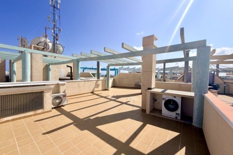 Apartment for sale in Alicante, Spain 2 bedrooms, 70 sq.m. No. 190121 - photo 9