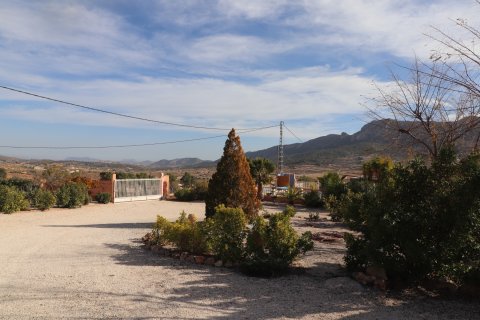 Huvila myytävänä La Romana, Alicante, Espanja, 4 makuuhuonetta, 165 m2 No. 146629 - kuva 13