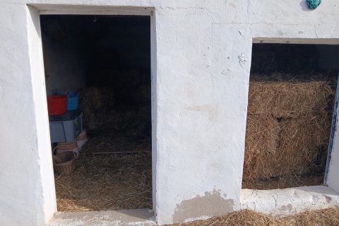 Villa pārdošanā Monovar, Alicante, Spānijā 3 istabas, 209 m2 Nr. 146630 - attēls 24