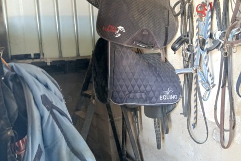 Villa pārdošanā Monovar, Alicante, Spānijā 3 istabas, 209 m2 Nr. 146630 - attēls 18