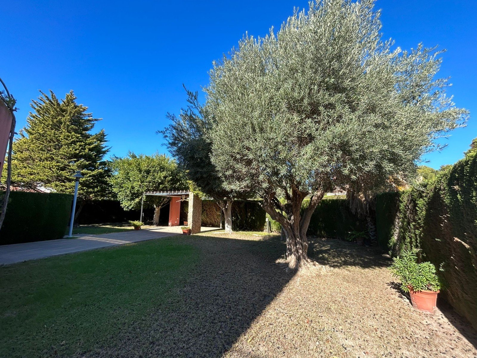 Villa Alicante, Spānijā 4 istabas, 403 m2 Nr. 146626