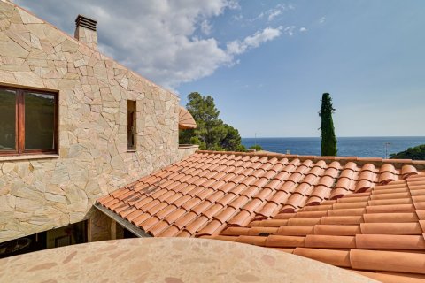 Villa pārdošanā Barcelona, Spānijā 6 istabas, 654 m2 Nr. 134004 - attēls 28
