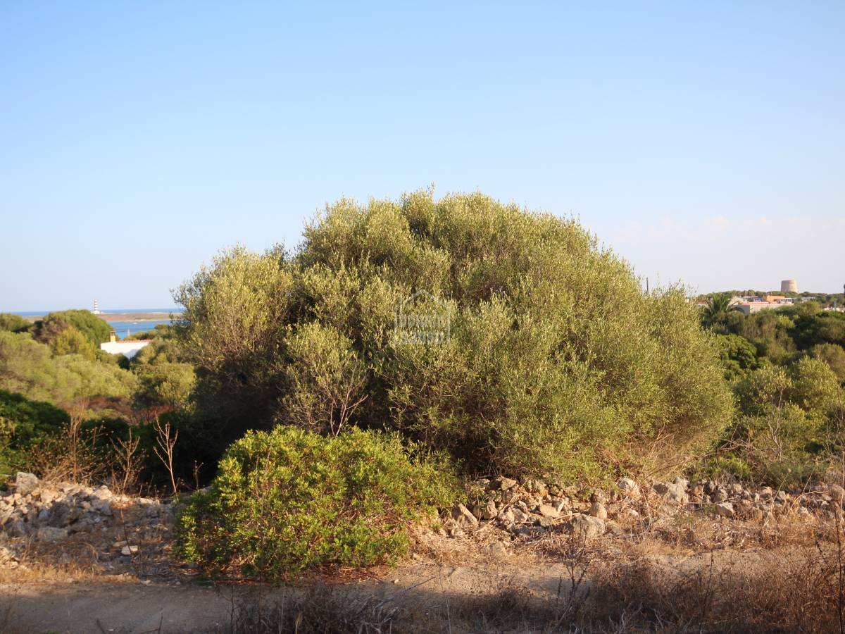 Działka w Sant Lluis, Menorca, Hiszpania nr 65304