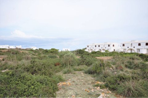Land plot à vendre Ciutadella De Menorca, Menorca, EspagneNo. 65305 - photo 4