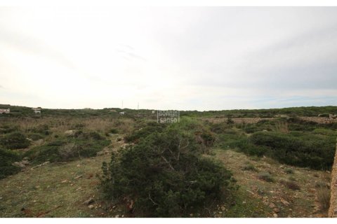 Land plot à vendre Ciutadella De Menorca, Menorca, EspagneNo. 65305 - photo 2