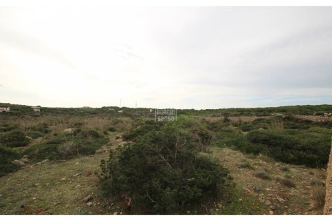 Land plot à vendre à Ciutadella De Menorca, Menorca, EspagneNo. 65305 - photo 4