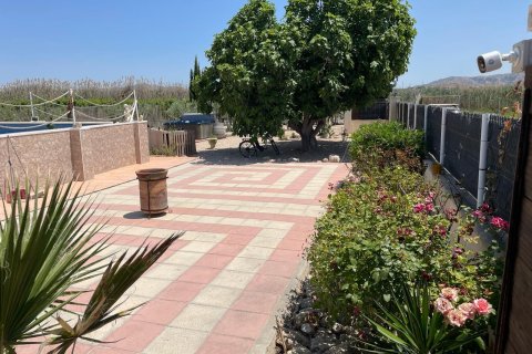 Villa in vendita a Villena, Alicante, Spagna 5 camere da letto, 210 mq. N° 152095 - foto 4