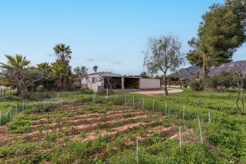 Villa in vendita a Hondon De Las Nieves, Alicante, Spagna 3 camere da letto, 158 mq. N° 152090 - foto 4