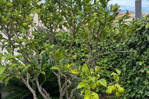 Townhouse for sale in Punta Prima, Alicante, Spain 3 bedrooms, 107 sq.m. No. 152092 - photo 3