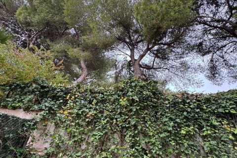 Townhouse for sale in Punta Prima, Alicante, Spain 3 bedrooms, 107 sq.m. No. 152092 - photo 4