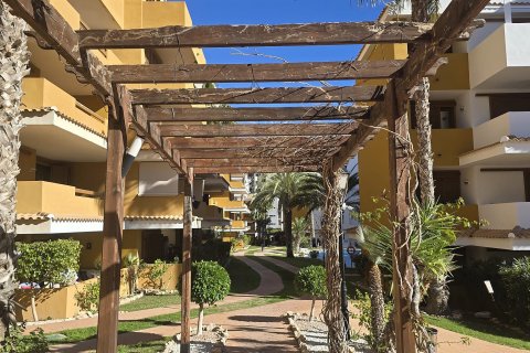 Продажа квартиры в Пунта Прима, Аликанте, Испания 2 спальни, 107м2 №161677 - фото 9