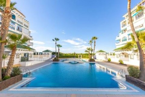 Lägenhet till salu La Mata, Alicante, Spanien 1 sovrum, 45 kvm. Nr. 139716 - foto 17