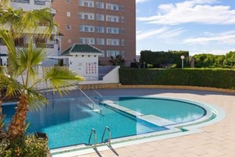 Lägenhet till salu La Mata, Alicante, Spanien 1 sovrum, 45 kvm. Nr. 139716 - foto 20
