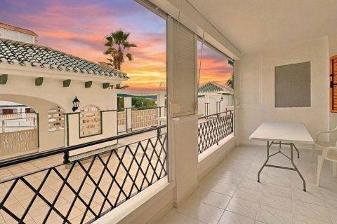 Appartamento in vendita a La Mata, Alicante, Spagna 1 camera da letto, 45 mq. N° 139716 - foto 25