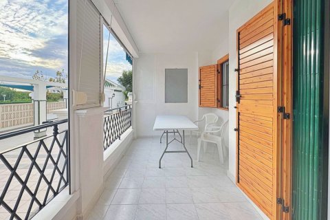 Appartamento in vendita a La Mata, Alicante, Spagna 1 camera da letto, 45 mq. N° 139716 - foto 24