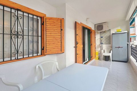 Appartamento in vendita a La Mata, Alicante, Spagna 1 camera da letto, 45 mq. N° 139716 - foto 26