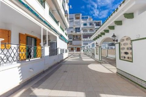Lägenhet till salu La Mata, Alicante, Spanien 1 sovrum, 45 kvm. Nr. 139716 - foto 18