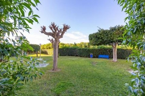 Lägenhet till salu La Mata, Alicante, Spanien 1 sovrum, 45 kvm. Nr. 139716 - foto 21