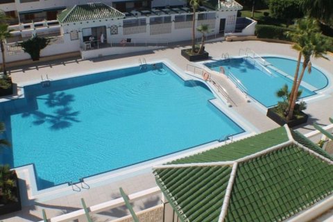 Lägenhet till salu La Mata, Alicante, Spanien 1 sovrum, 45 kvm. Nr. 139716 - foto 11