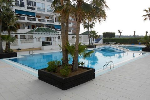 Lägenhet till salu La Mata, Alicante, Spanien 1 sovrum, 45 kvm. Nr. 139716 - foto 19