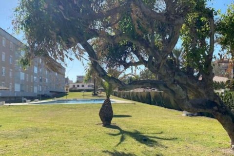 Wohnung zum Verkauf in Punta Prima, Alicante, Spanien 3 Schlafzimmer, 82 m2 Nr. 147900 - Foto 23