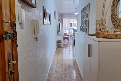 Apartament w Torrevieja, Alicante, Hiszpania 1 sypialnia, 69 mkw. nr 186925 – zdjęcie 12