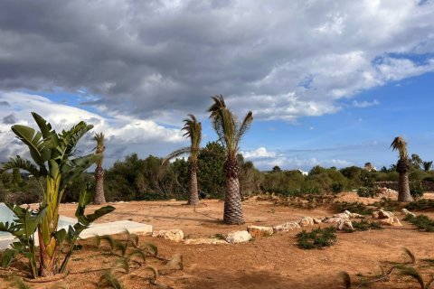 Talo myytävänä Santanyi, Mallorca, Espanja, 6 makuuhuonetta, 600 m2 No. 138177 - kuva 28