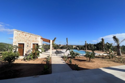 Talo myytävänä Santanyi, Mallorca, Espanja, 6 makuuhuonetta, 600 m2 No. 138177 - kuva 20