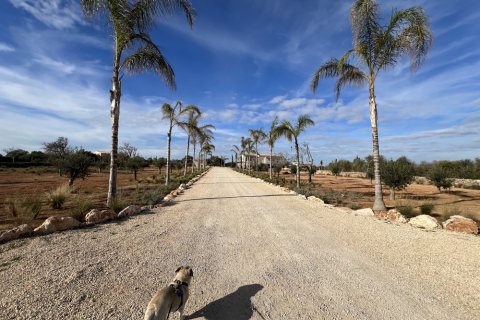 Talo myytävänä Santanyi, Mallorca, Espanja, 6 makuuhuonetta, 600 m2 No. 138177 - kuva 26