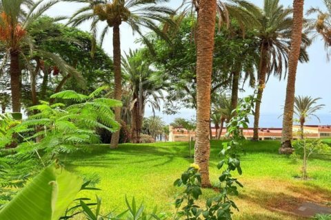 Apartamento en venta en Adeje, Tenerife, España 3 dormitorios, 495 m2 No. 154458 - foto 29