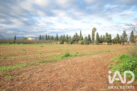 Land zum Verkauf in Llubi, Mallorca, Spanien 14787 m2 Nr. 196512 - Foto 3